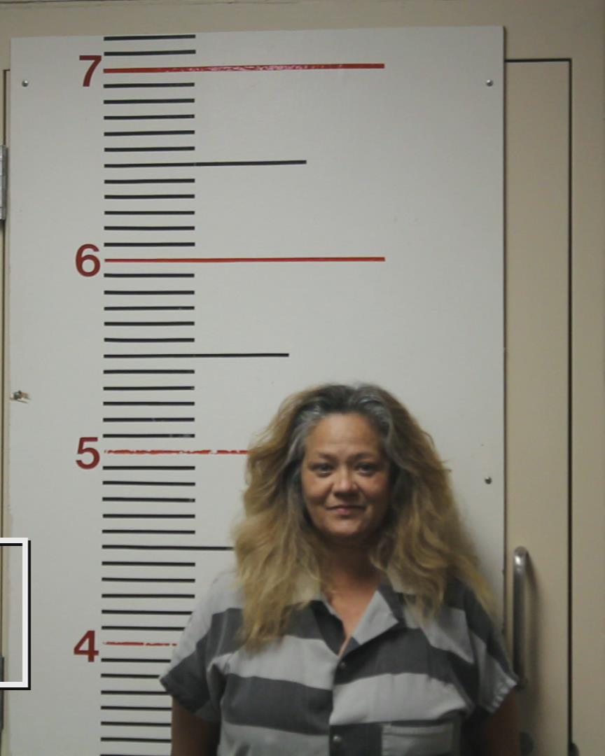 CONN, LESLIE ANN booking photo