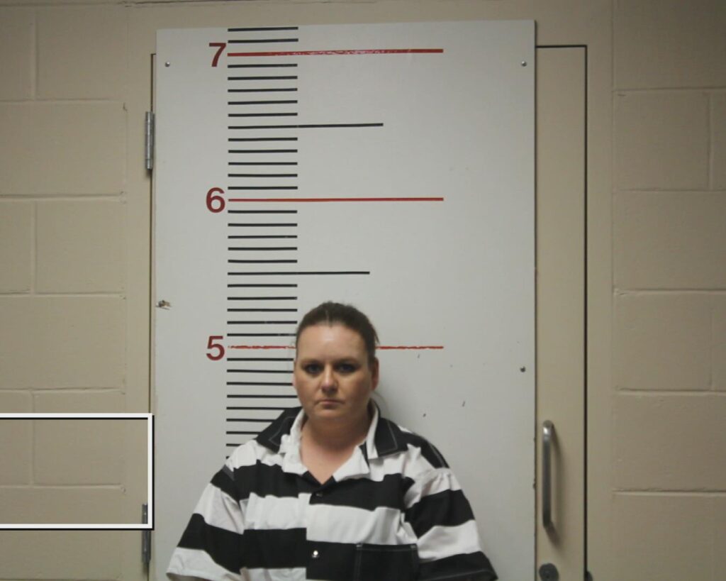 VINCENT, AYME arrested in Anderson County, Texas mugshot