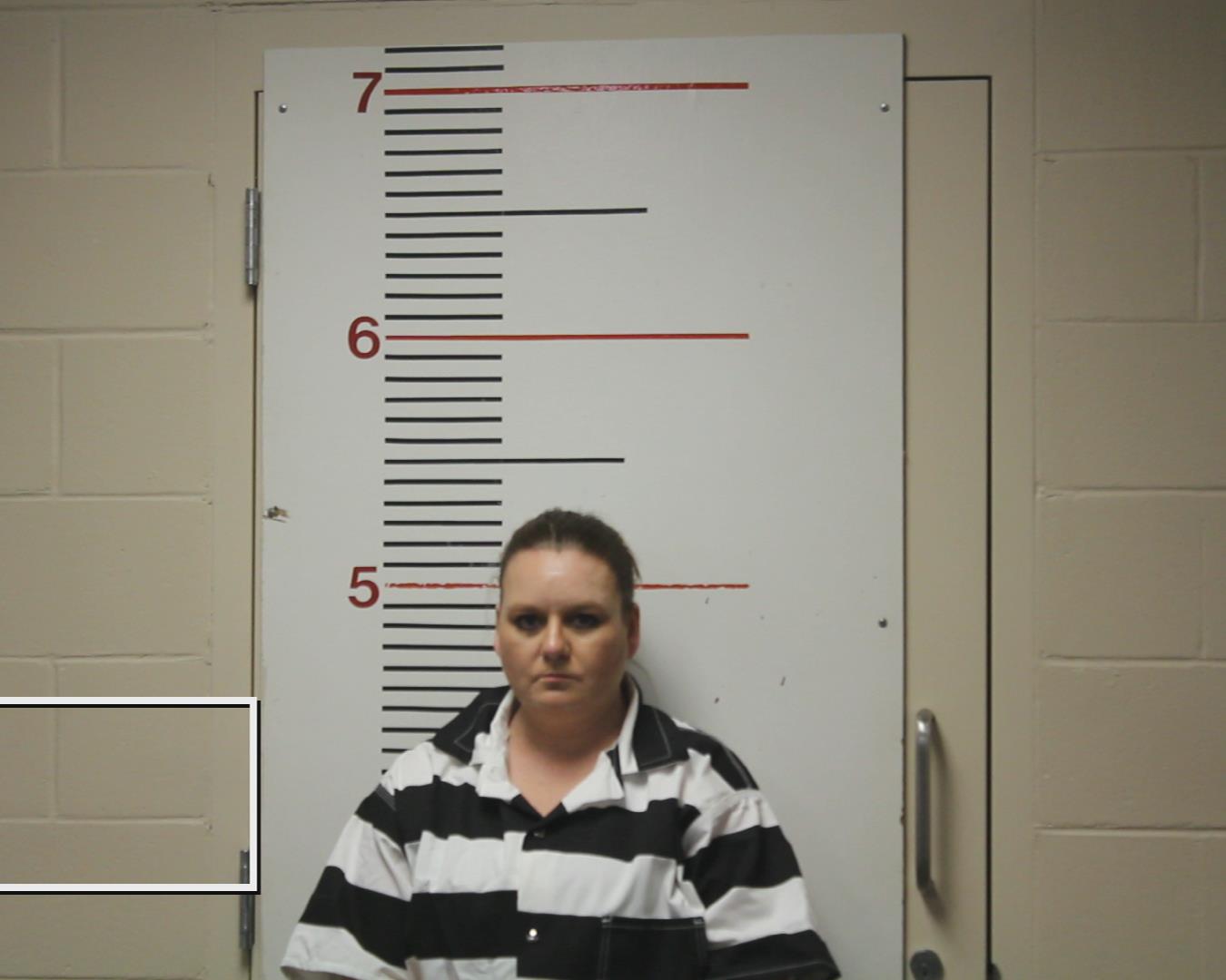 VINCENT, AYME booking photo