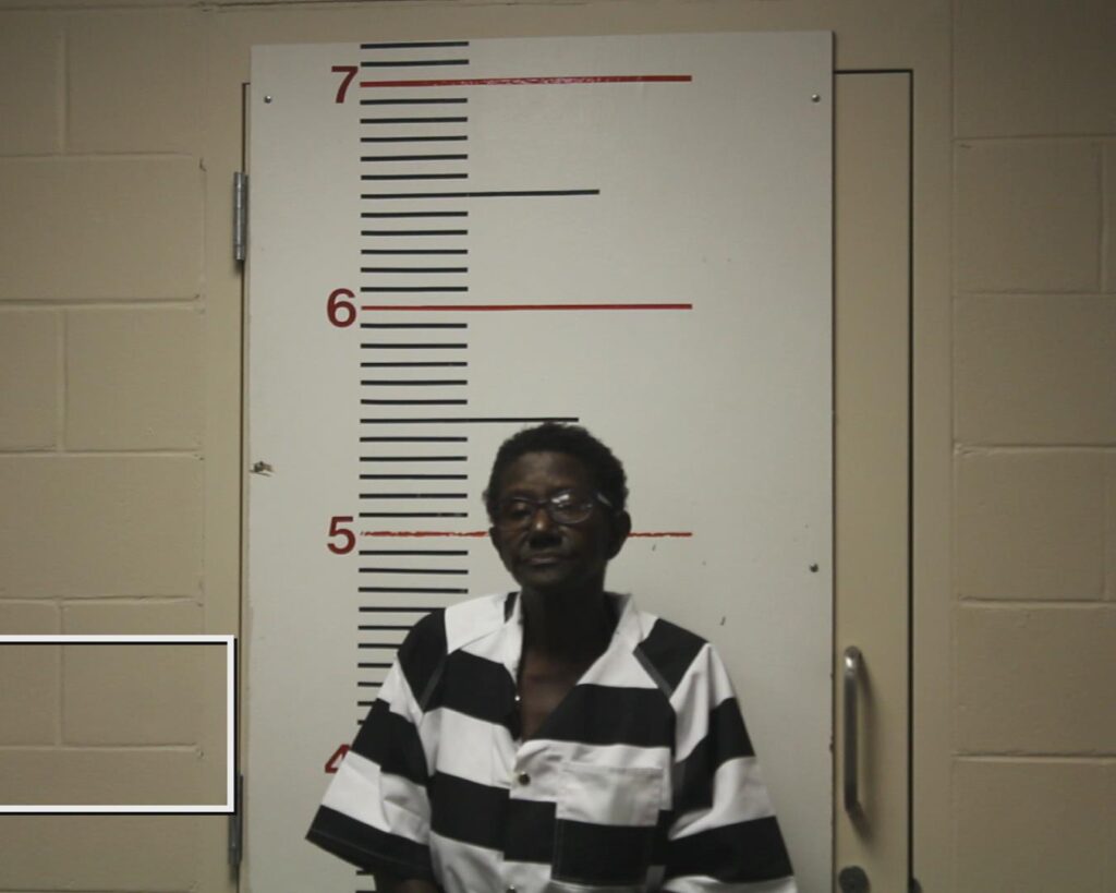 BRANTLEY, SHELIA EVANS arrested in Anderson County, Texas mugshot