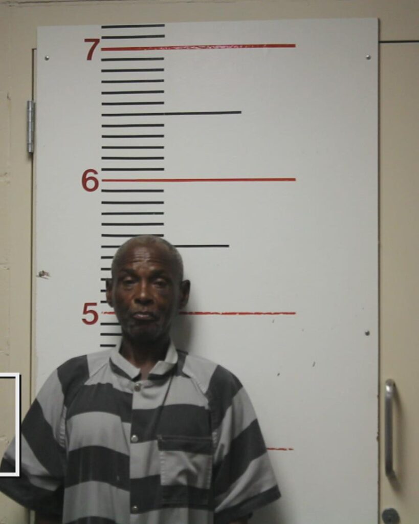 JACKSON, JOHNNY ROBERT arrested in Anderson County, Texas mugshot