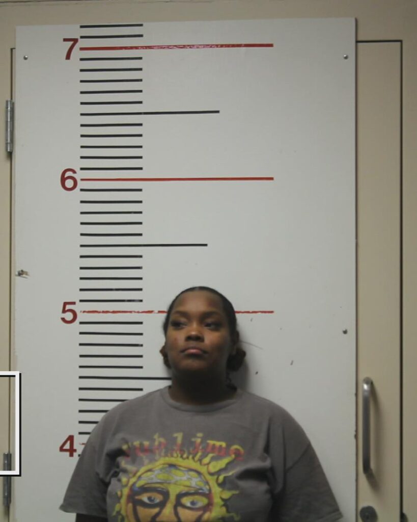 WALKER, DIAMOND MONIQUE arrested in Anderson County, Texas mugshot