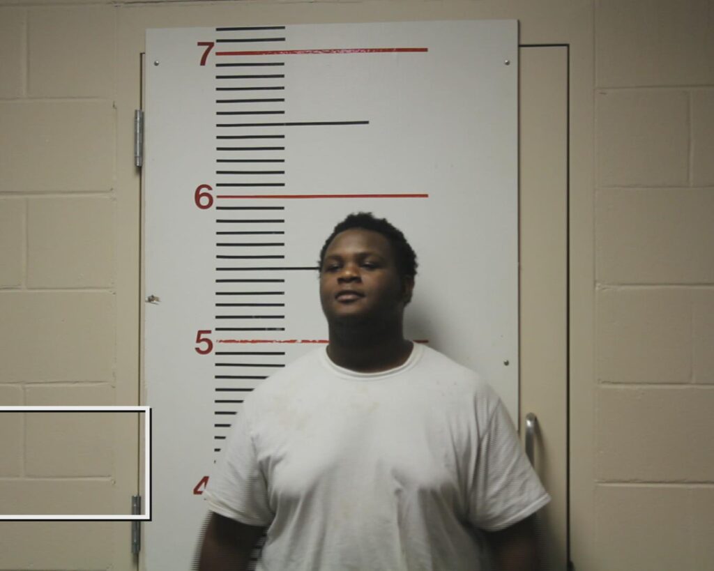 DELANE, SEMAJE TAKYME arrested in Anderson County, Texas mugshot