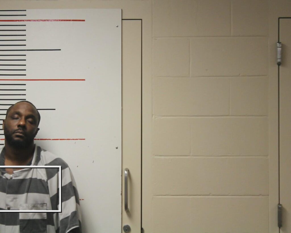 DAVIS, CHRISTOPHER JAMES arrested in Anderson County, Texas mugshot