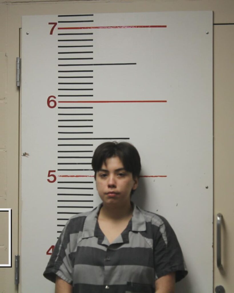 MARTINEZ, FATIMA arrested in Anderson County, Texas mugshot
