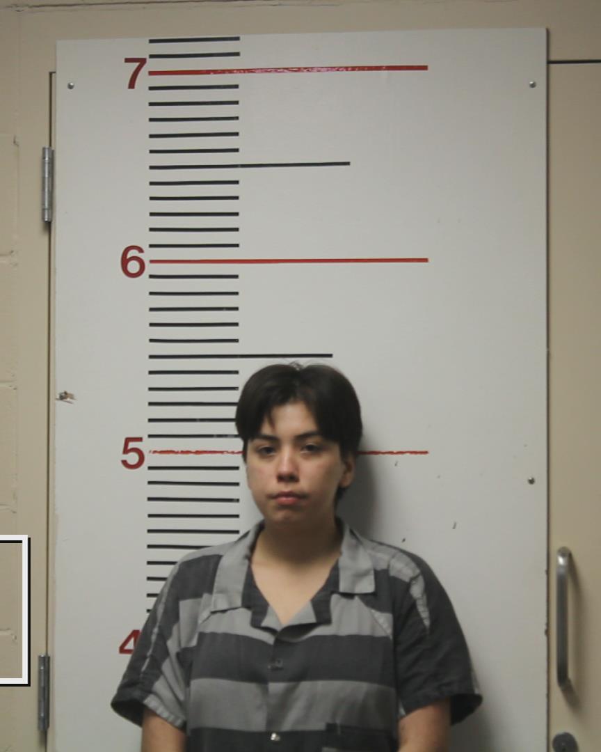MARTINEZ, FATIMA booking photo