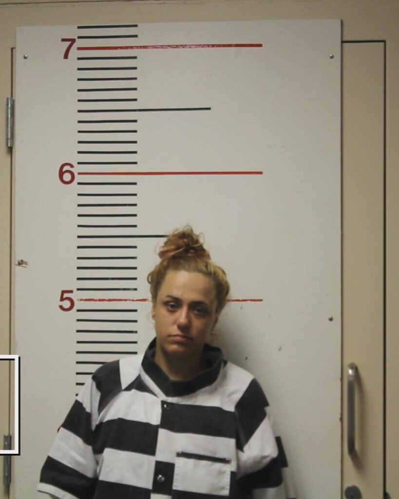 BARNETT, TIFFANY NICOLE arrested in Anderson County, Texas mugshot