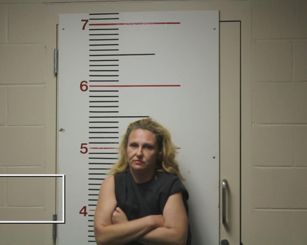 BRINKMAN, CHERYL DENISE arrested in Anderson County, Texas mugshot