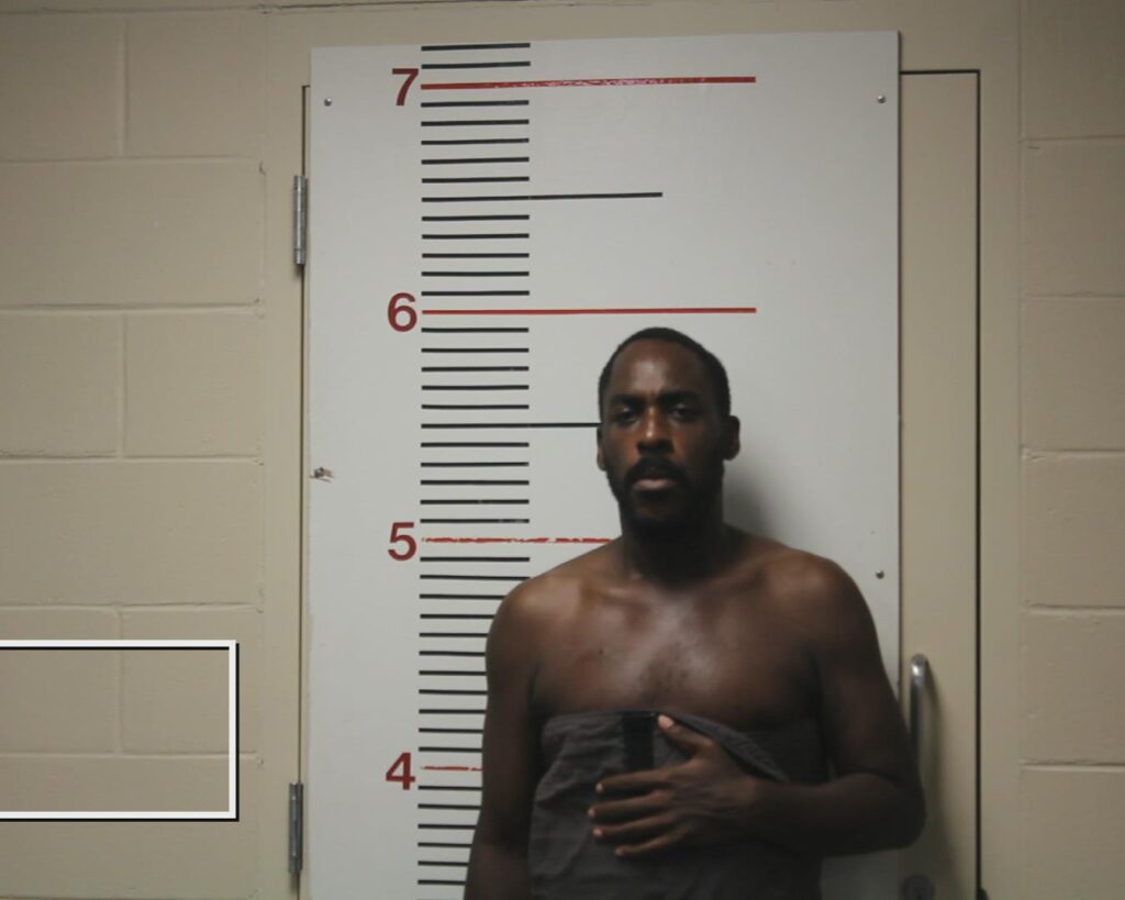 BROWN, NICHOLAS KENRICK arrested in Anderson County, Texas mugshot