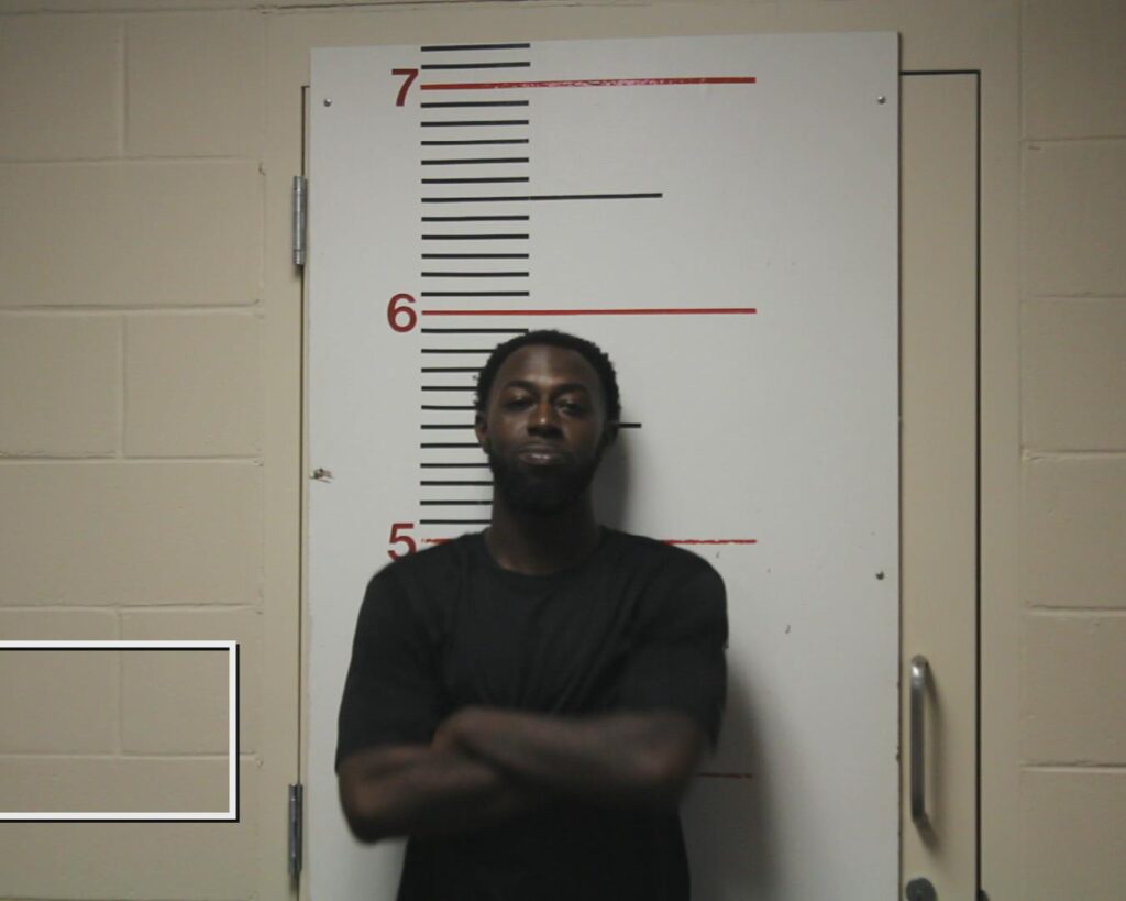 HICKS, DEODRICK JAILEN JAMES arrested in Anderson County, Texas mugshot