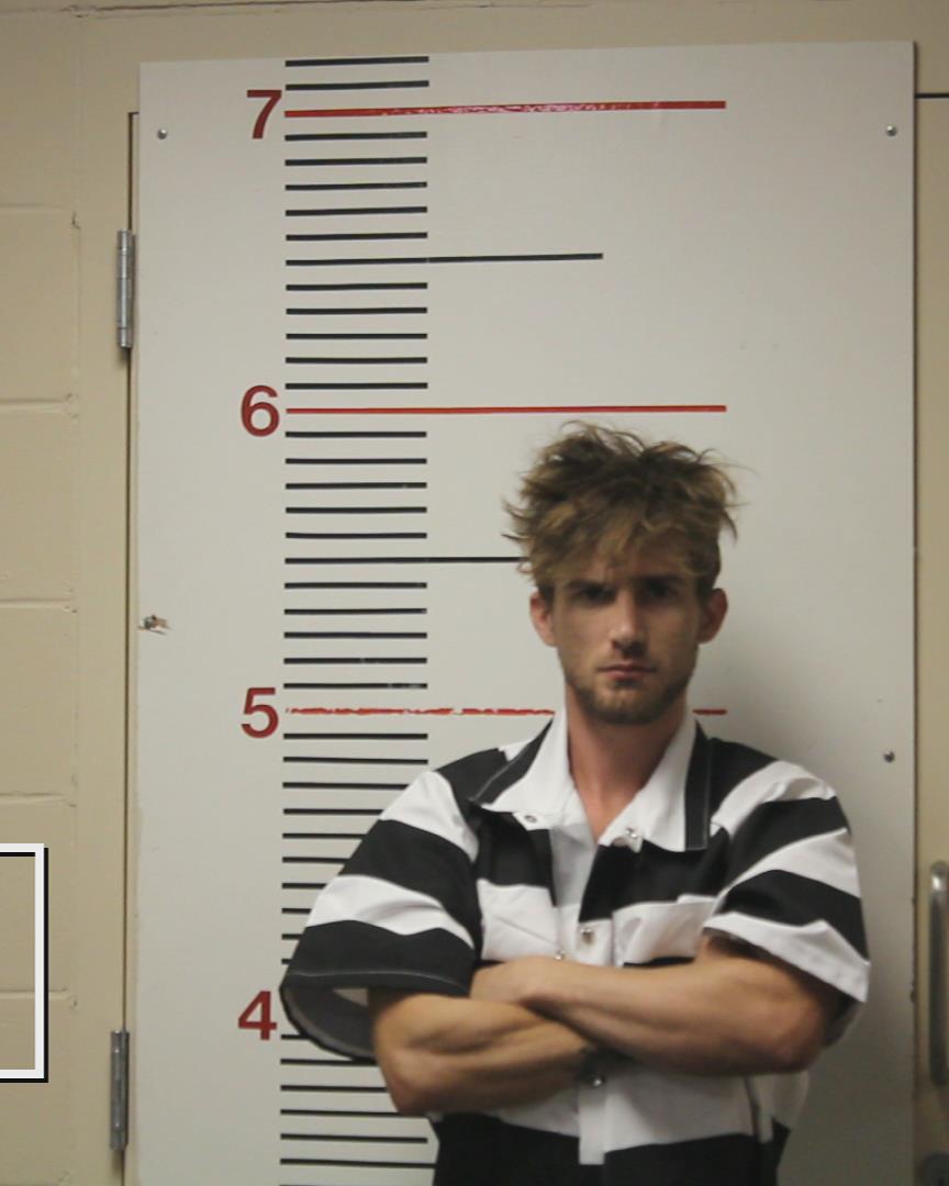 LING, DAMIAN DAKOTA booking photo