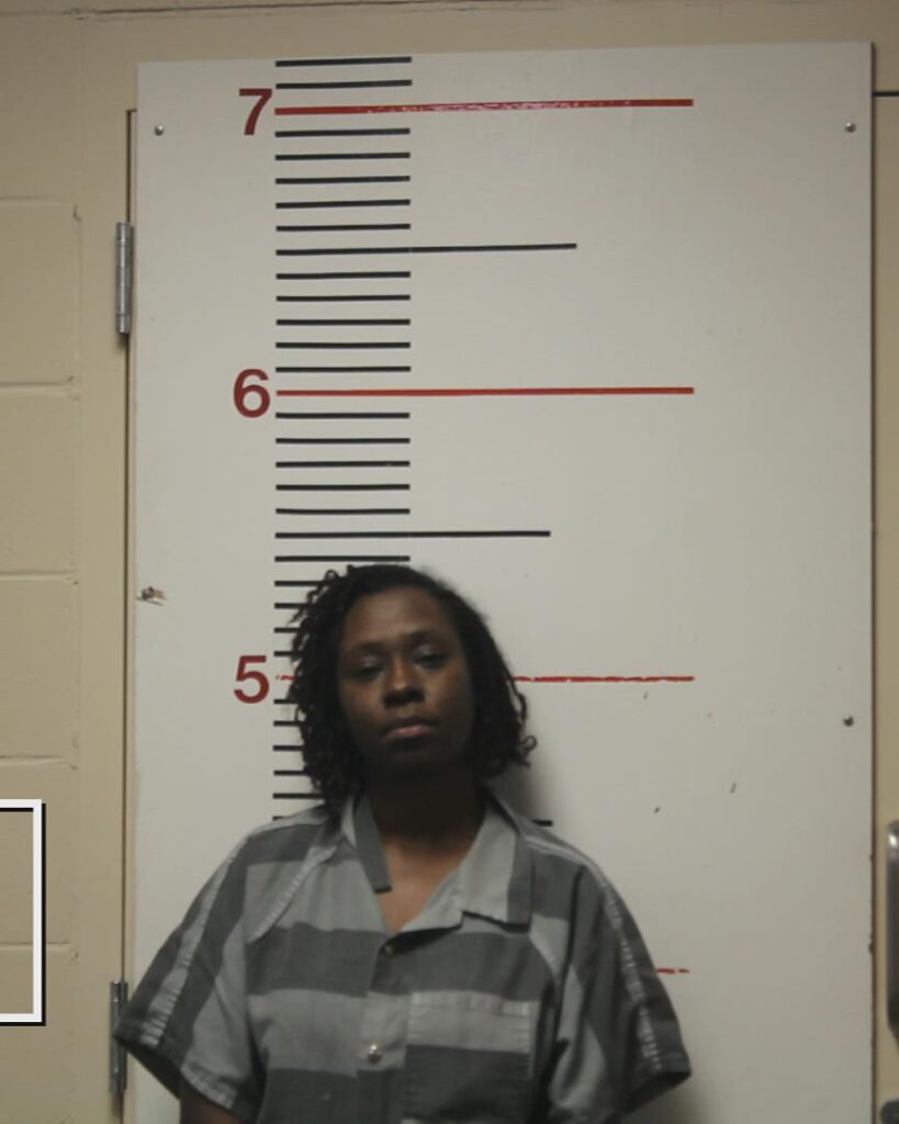 ROYAL, FAWLAN DIANE arrested in Anderson County, Texas mugshot