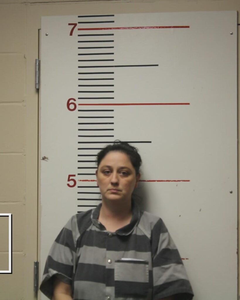 WEBB, CHRISTINA ANN arrested in Anderson County, Texas mugshot
