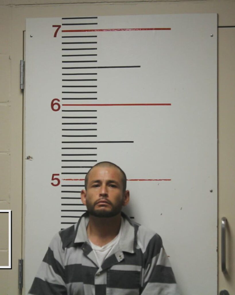 LIMON, JOSE ROBERTO arrested in Anderson County, Texas mugshot