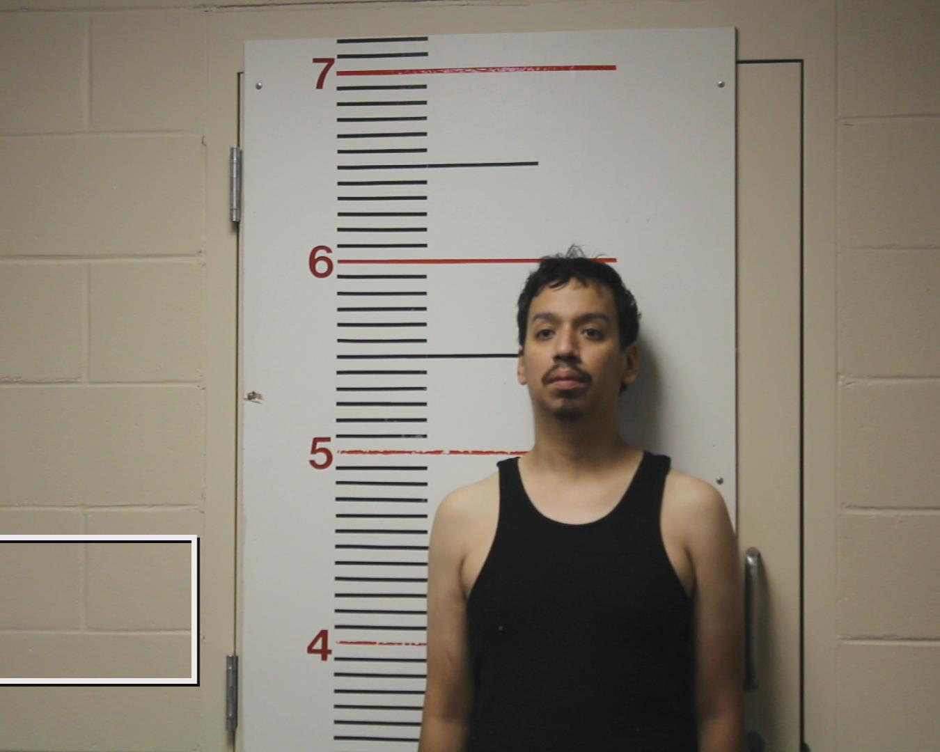 IBARRA, JUAN FRANCISCO booking photo