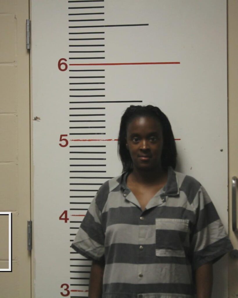 HALL, CASSANDRA LYNN arrested in Anderson County, Texas mugshot