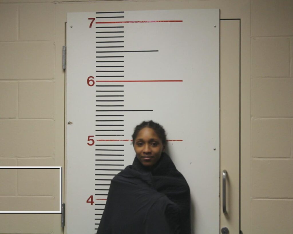 JONES, ARIANNA SHADE arrested in Anderson County, Texas mugshot