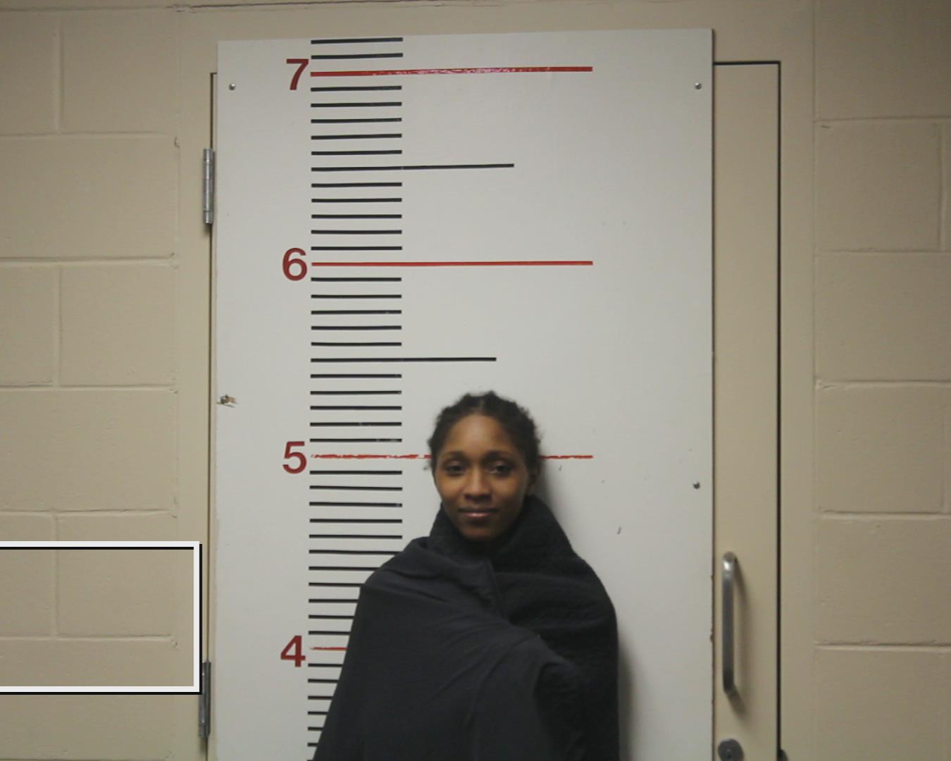 JONES, ARIANNA SHADE booking photo