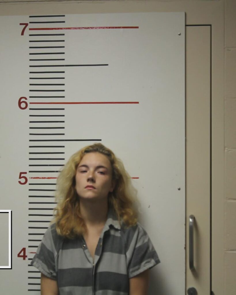 LAURENT, JADE-LYNN MECHELLE arrested in Anderson County, Texas mugshot