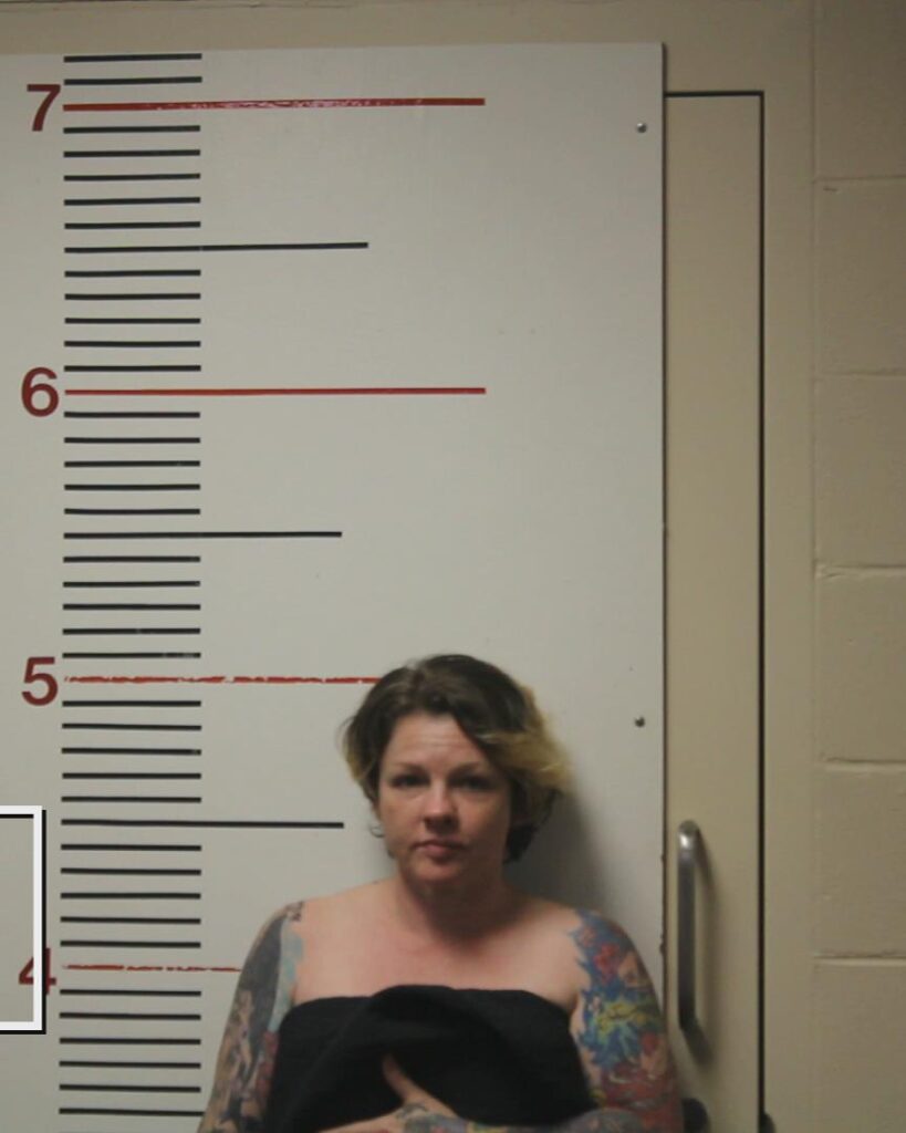 GOLDMAN, KATHRYN ANNETTE arrested in Anderson County, Texas mugshot