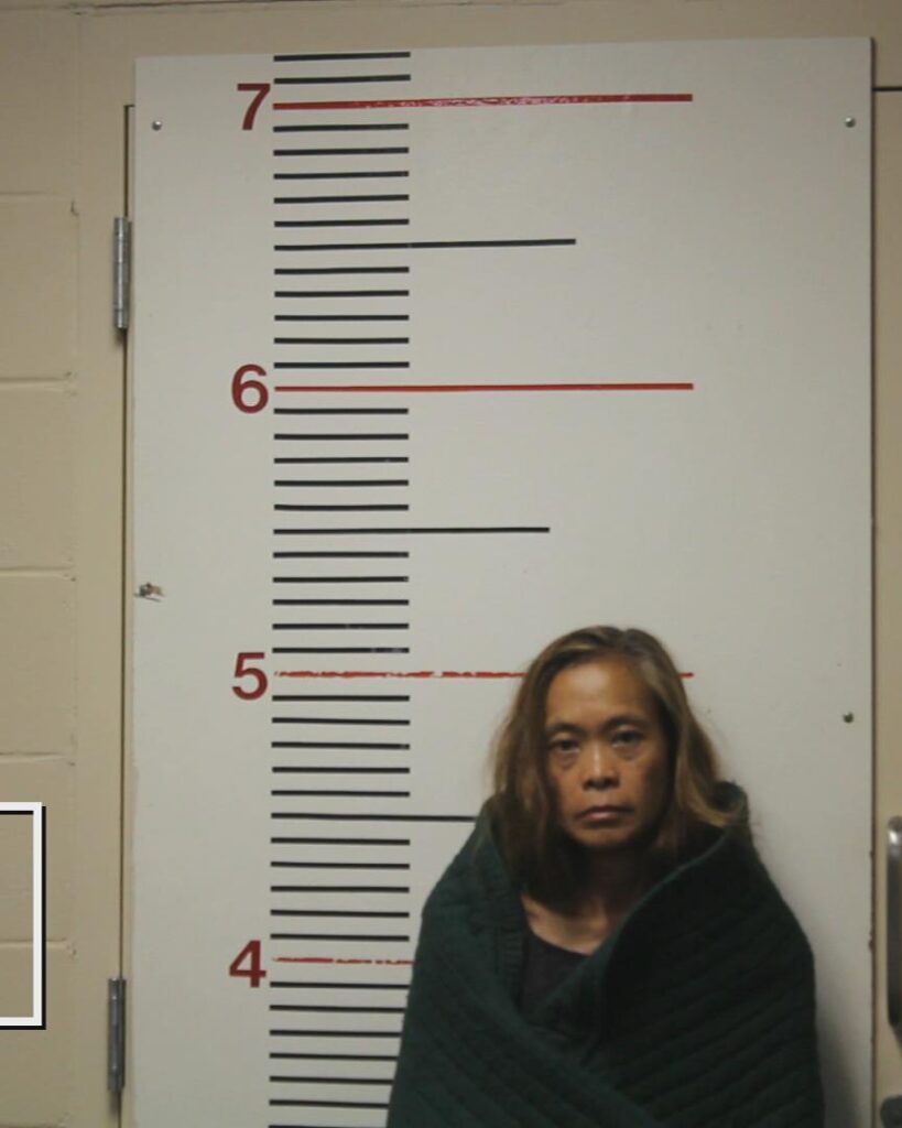 HENRY, CARLA ROBERTS arrested in Anderson County, Texas mugshot