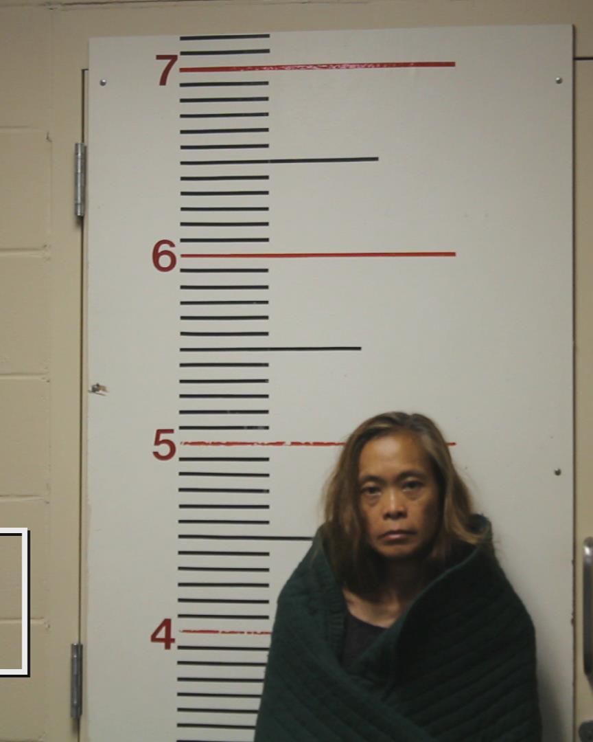 HENRY, CARLA ROBERTS booking photo