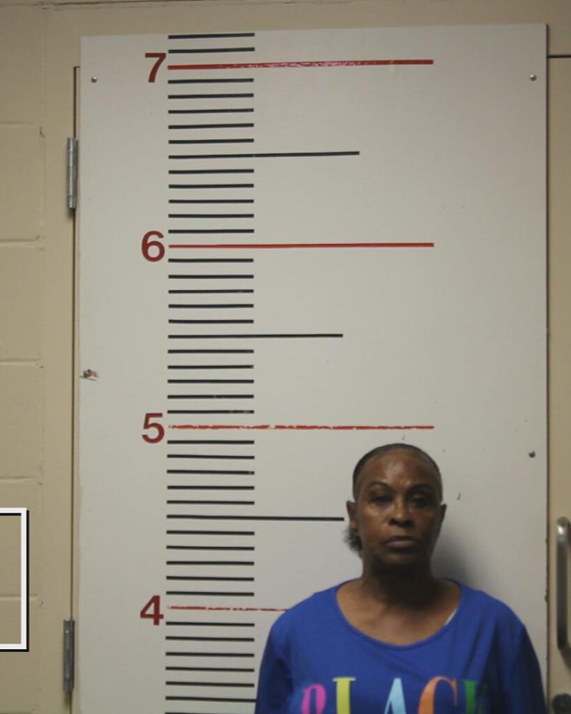 NUNERLEY, BARBARA ANN arrested in Anderson County, Texas mugshot