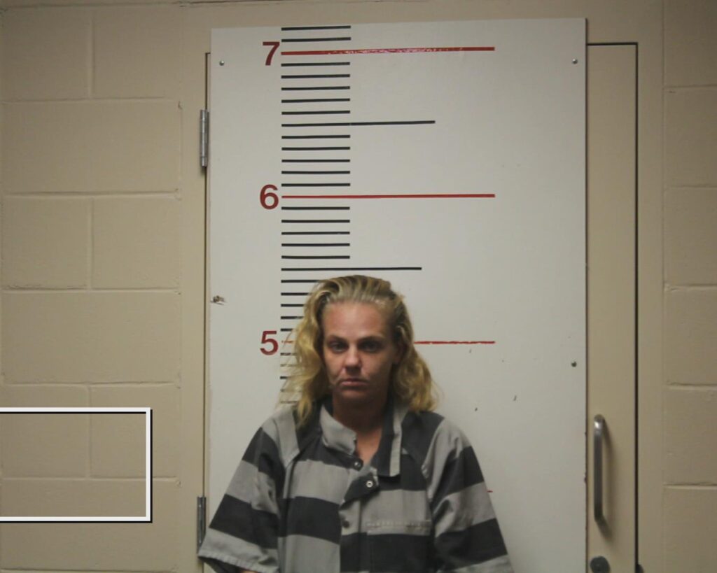 MARTIN, MONTANA CHRISTINE arrested in Anderson County, Texas mugshot
