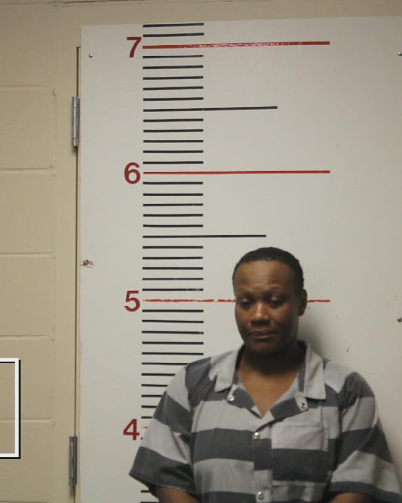 WASHINGTON, KASHAUNTA SHURAN arrested in Anderson County, Texas mugshot