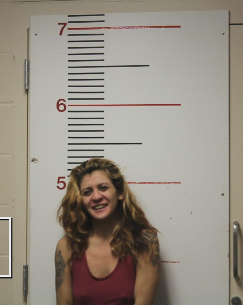 SCHOOLCRAFT, CHRISTIE LYNN arrested in Anderson County, Texas mugshot