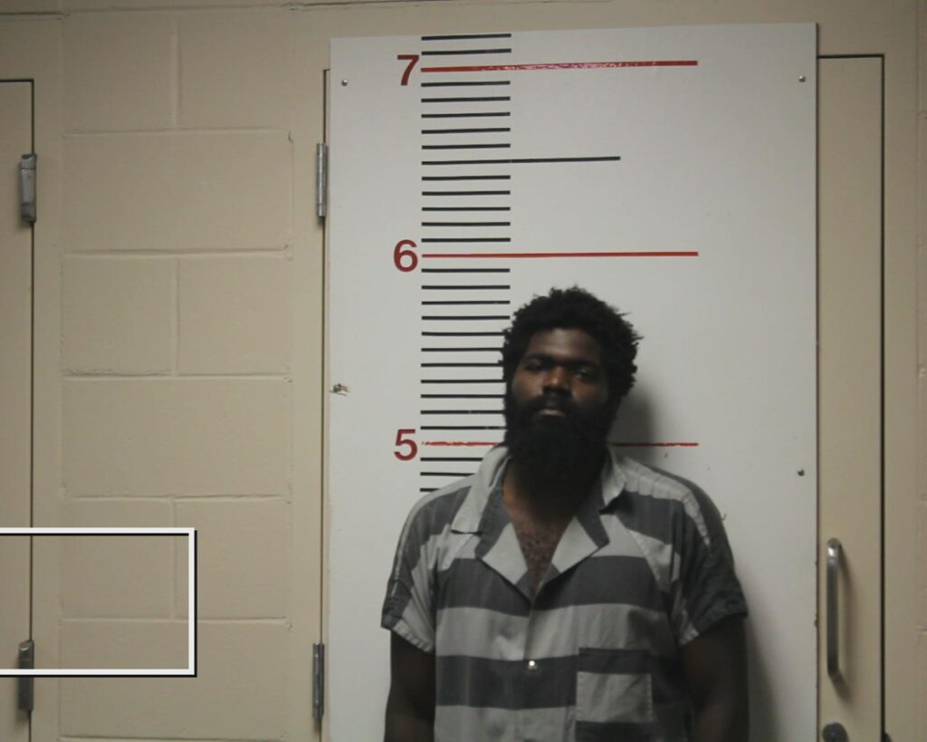 DAVIS, LAJUAN arrested in Anderson County, Texas mugshot