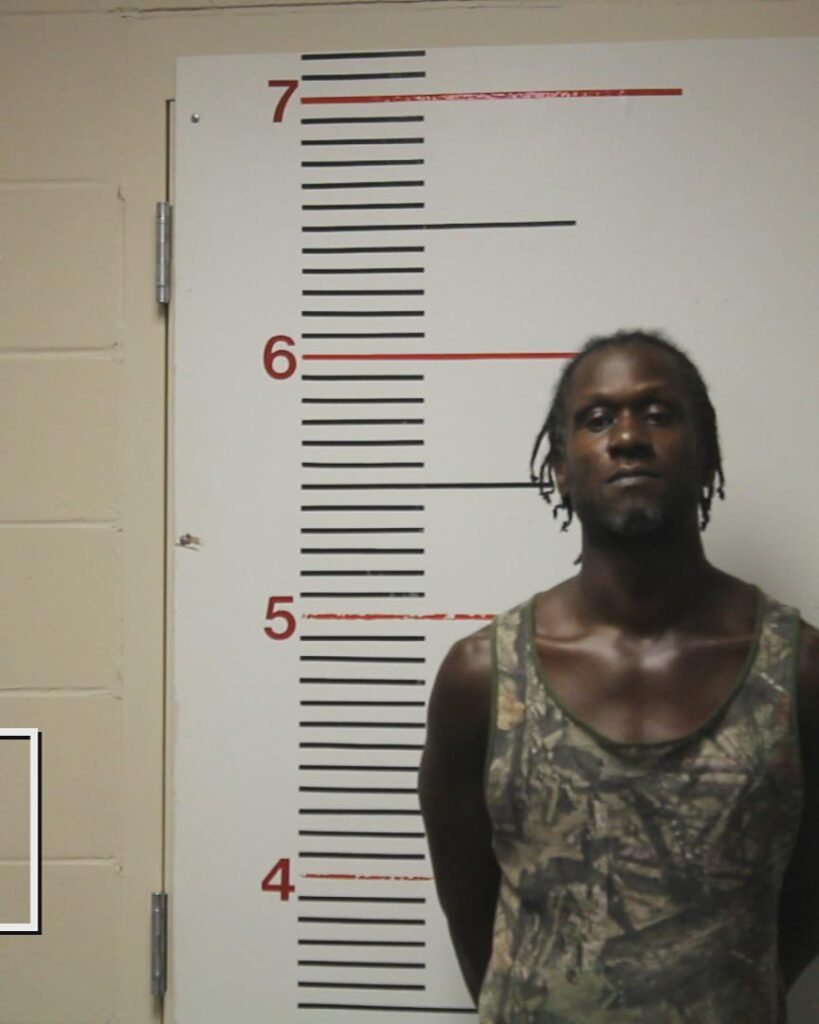 ROBINSON, RAYMOND DEAON arrested in Anderson County, Texas mugshot