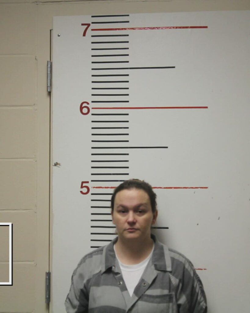 BURNS, SHONDA CHRISTINA arrested in Anderson County, Texas mugshot