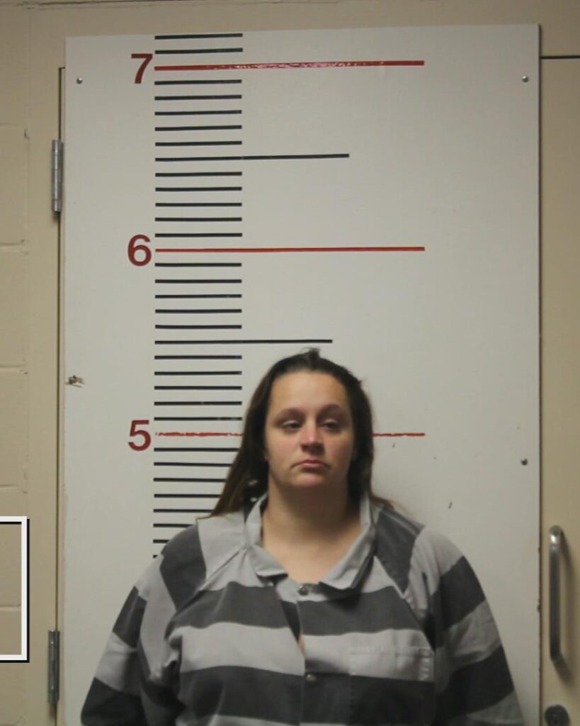 DAVIS, MAGAN MICHELLE arrested in Anderson County, Texas mugshot