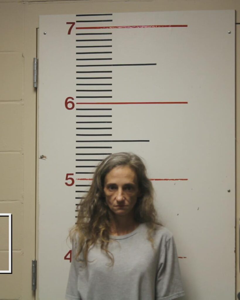 VINCENT, RACHEL MICHELLE arrested in Anderson County, Texas mugshot