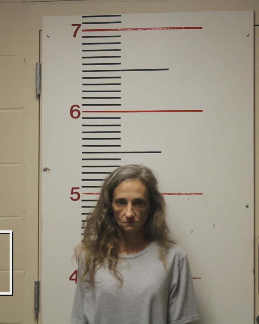 VINCENT, RACHEL MICHELLE booking photo