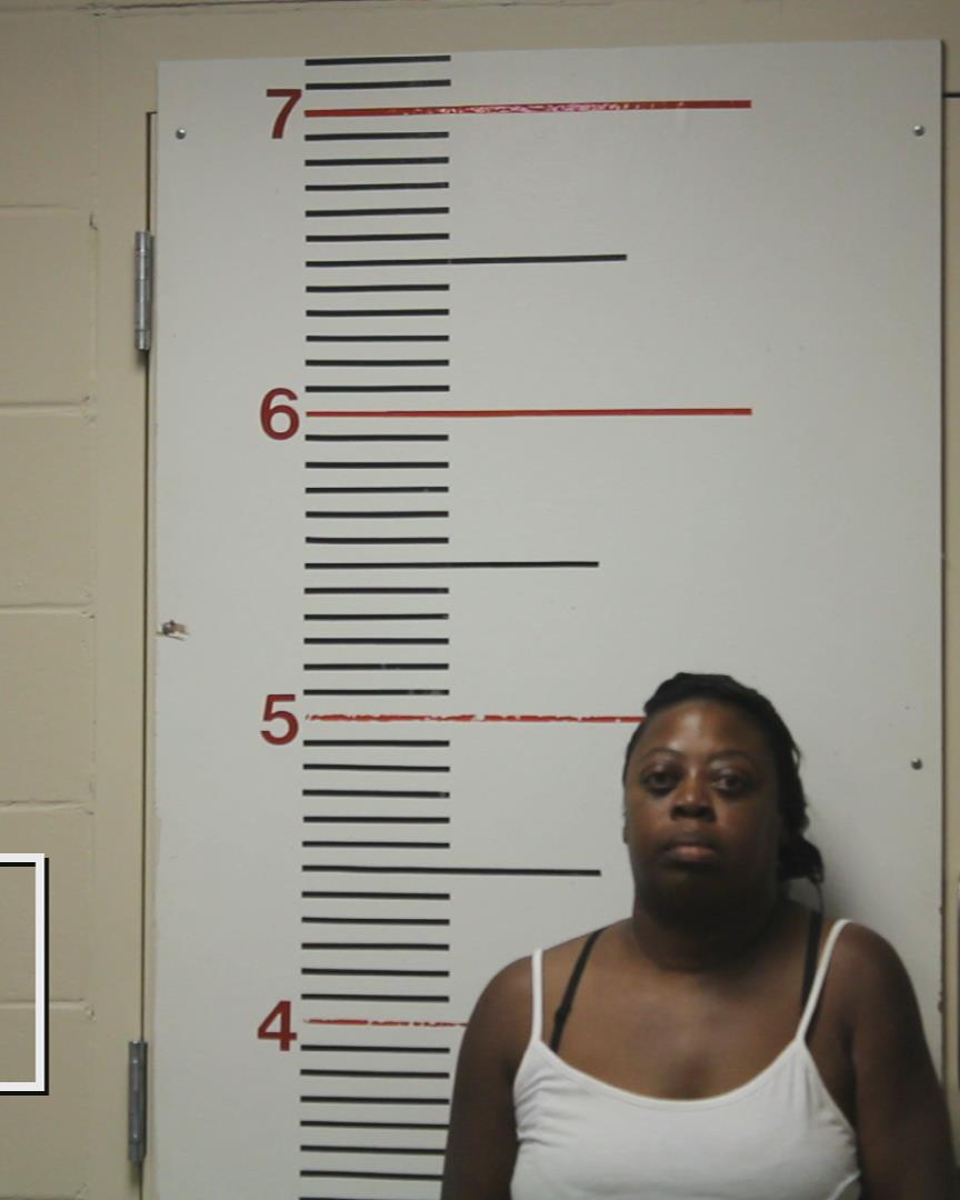 YOUNG, EBONY NICOLE booking photo