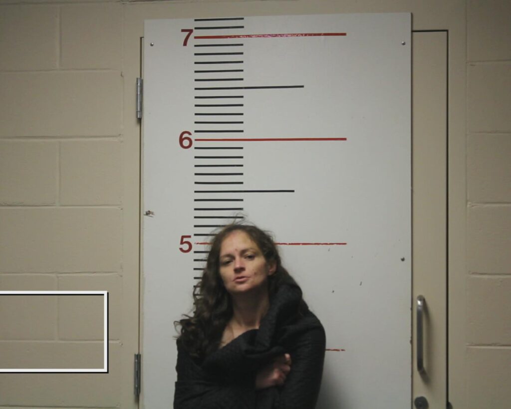 HUFF, TRACEY LYNN booking photo