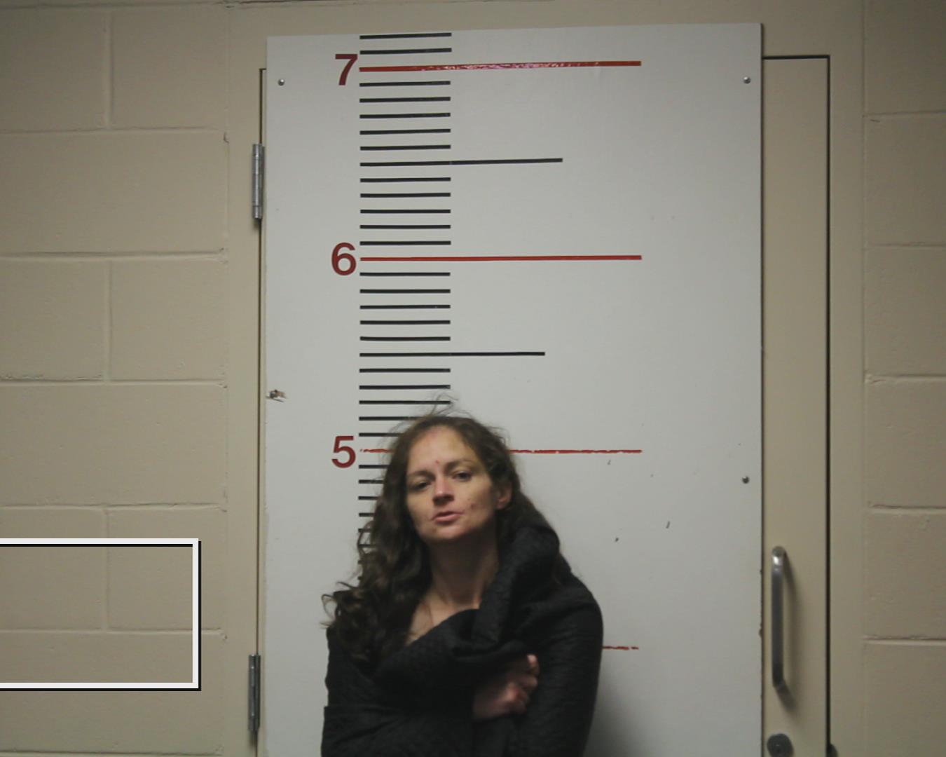 HUFF, TRACEY LYNN booking photo