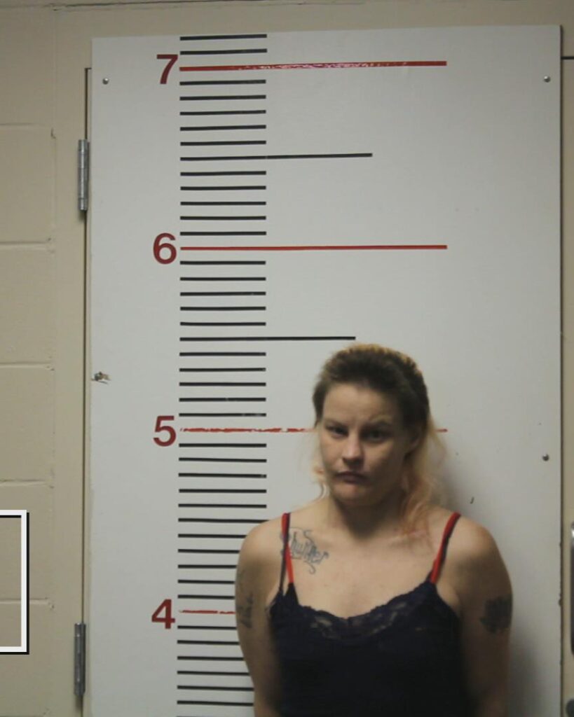 BAKER, CRYSTLE DAWN booking photo