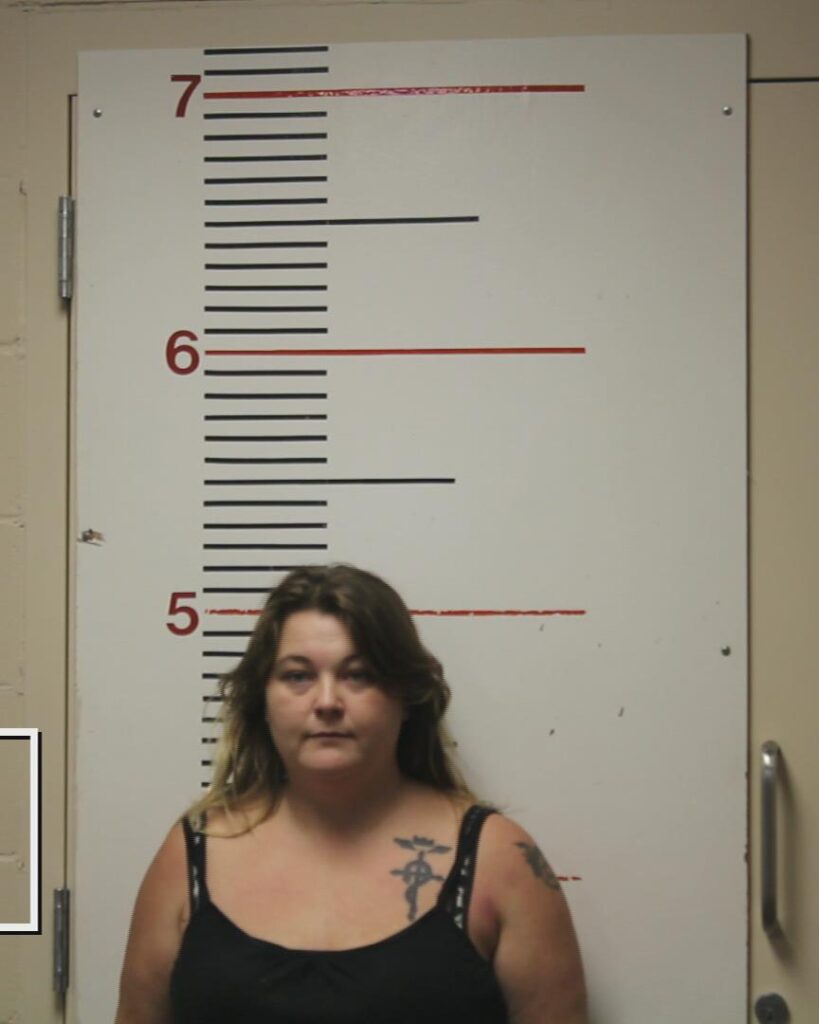 HANEY, AMANDA LOUISE booking photo