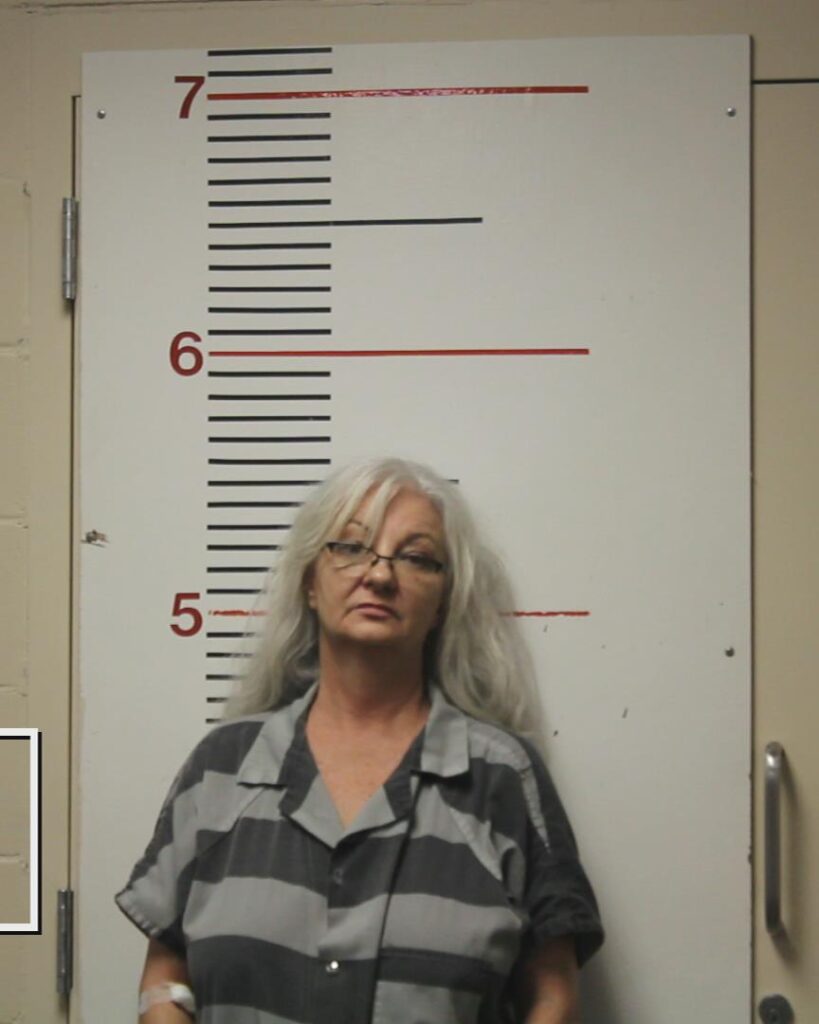 TOWNLEY, LYNDA booking photo