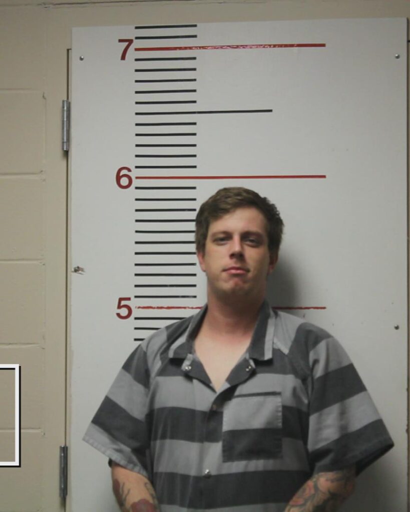 STANALAND, BRANDON KEITH booking photo