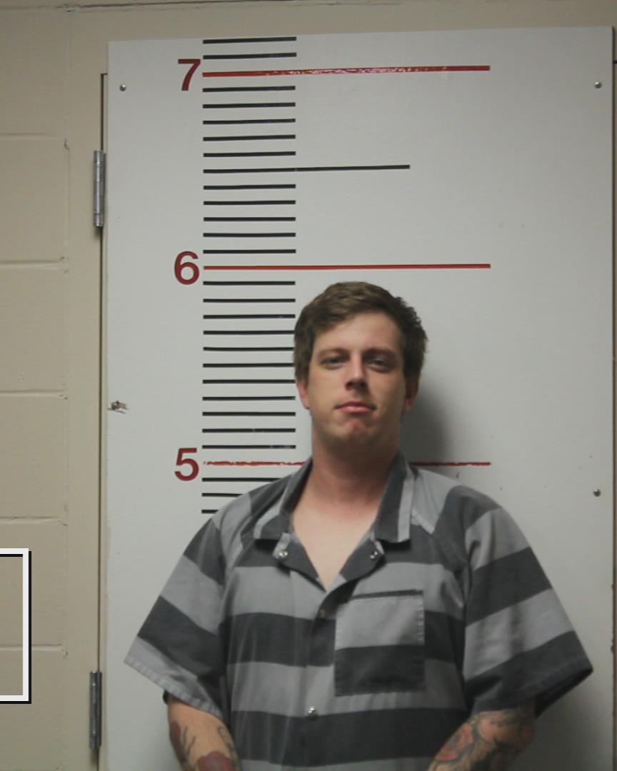 STANALAND, BRANDON KEITH booking photo