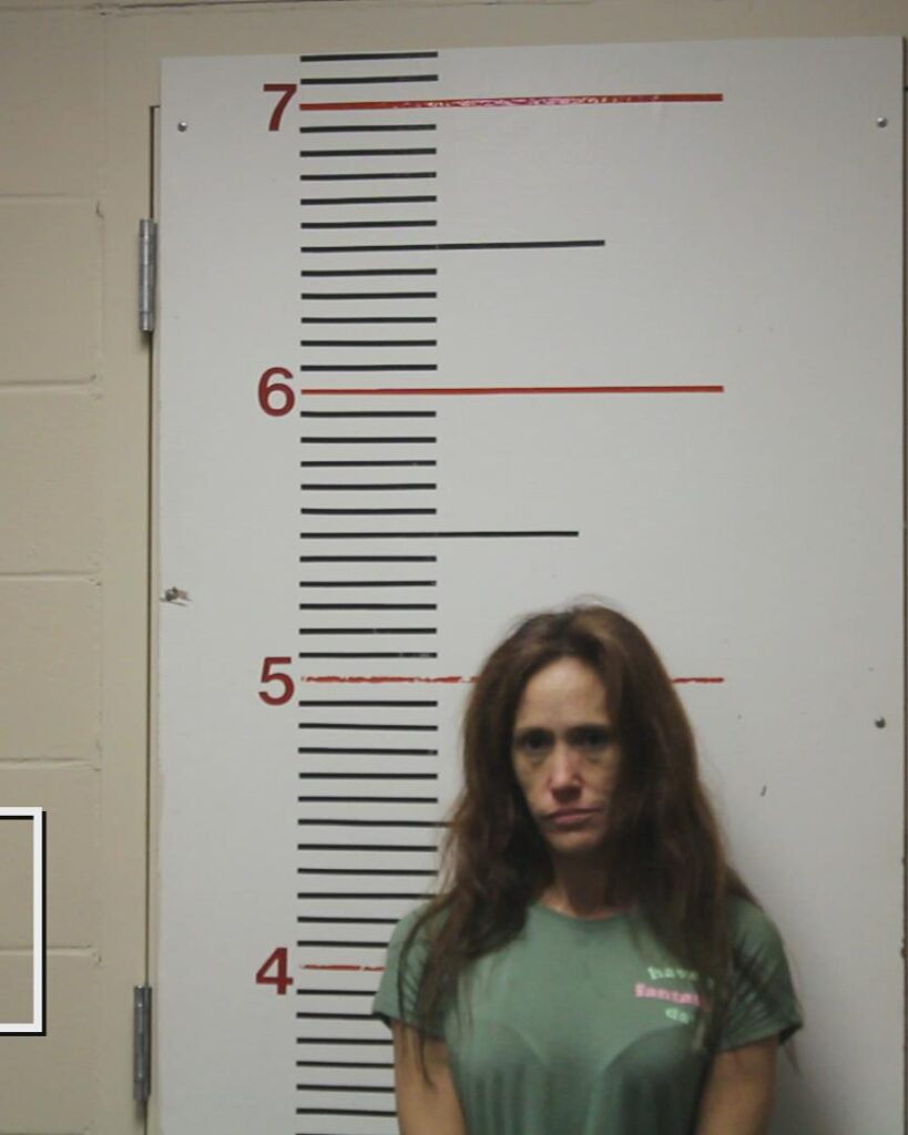 BRIERY, HEATHER LEANN booking photo
