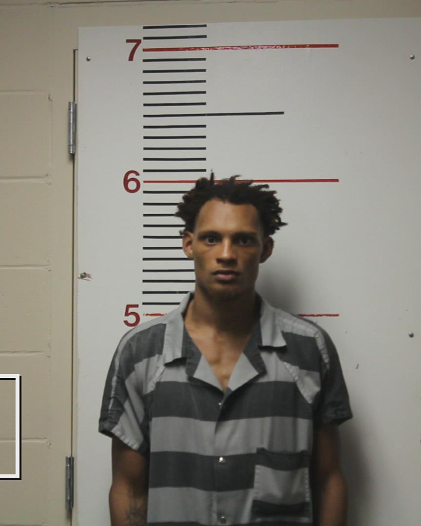 HICKS, TREVON TERRY JORDAN booking photo