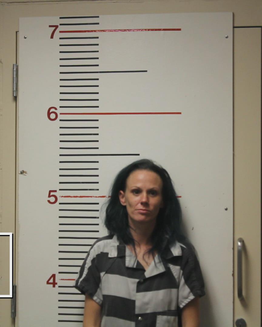 HOCKETT, BETTY GAIL booking photo