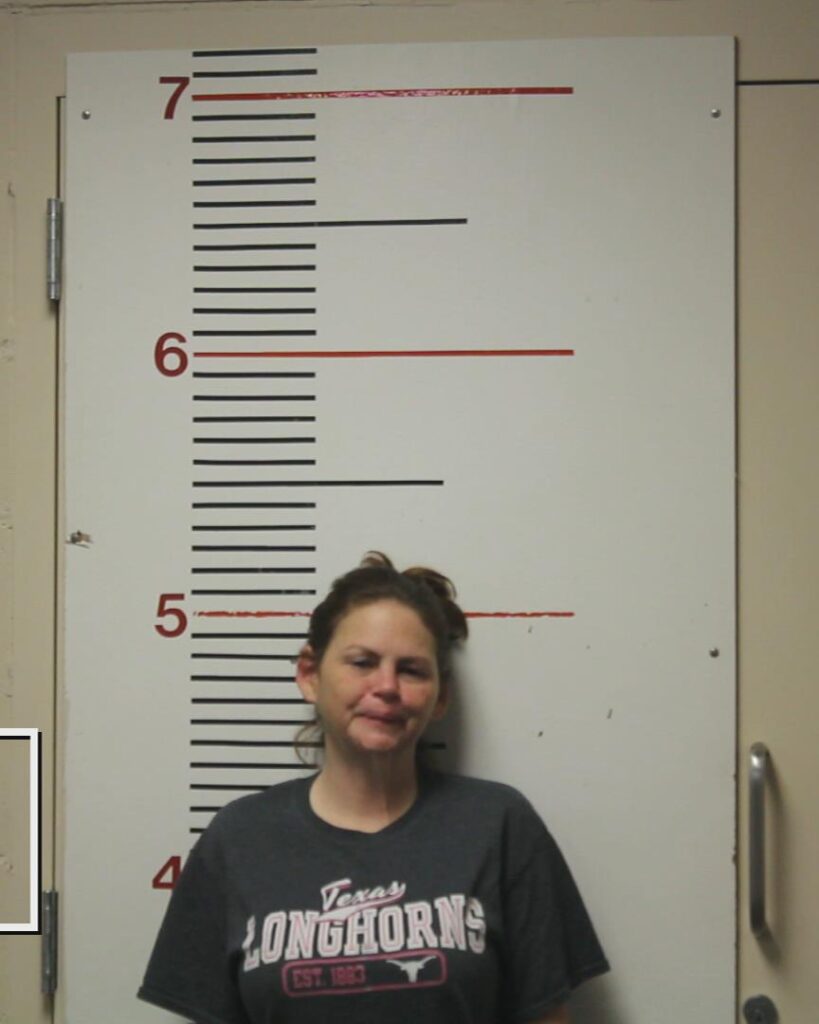 WEDGEWORTH, STACY NICOLE booking photo