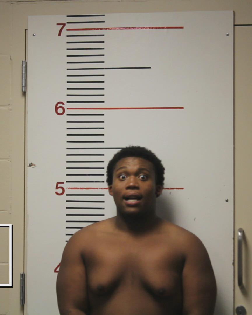 LANE, JERMARYON D'SHUN booking photo