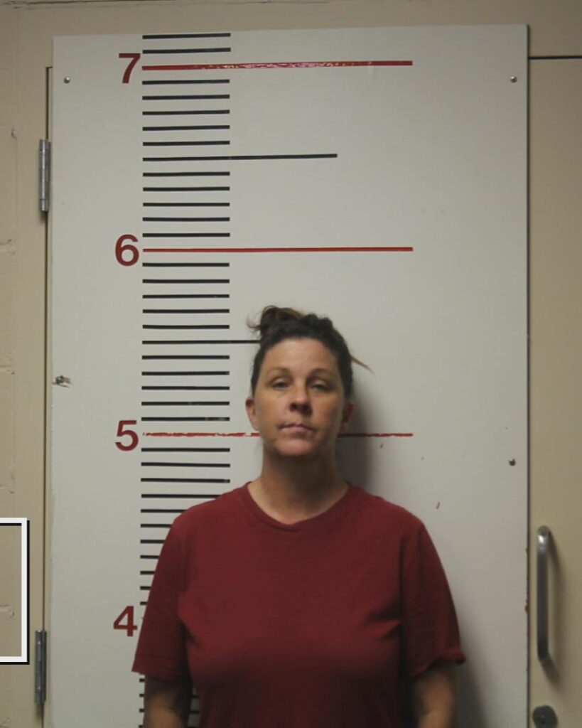 PARK, LAURA ANNE booking photo